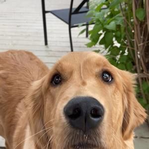 Meet your Posher, Daniela